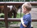 Zoo 04